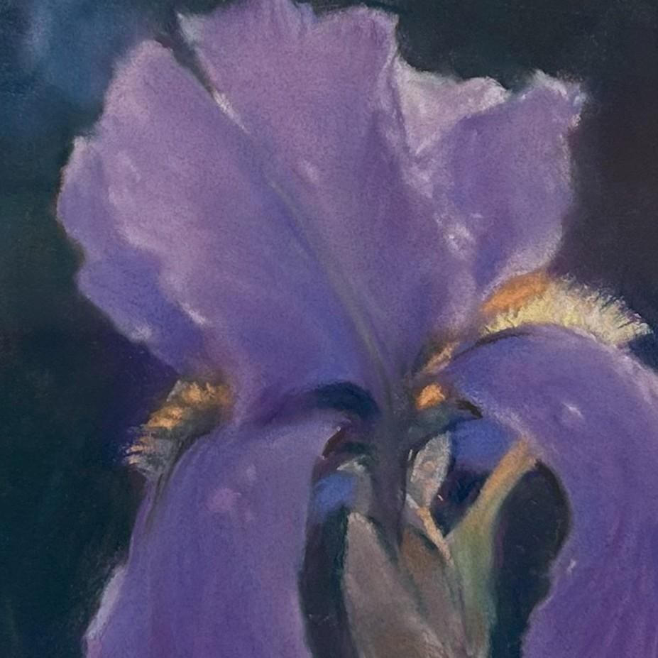 Mai-Schwertlilie (2025), Realistische violette Schwertlilie, Nahaufnahme Blumenstillleben Pastellmalerei (Grau), Figurative Painting, von Bruce A Gómez