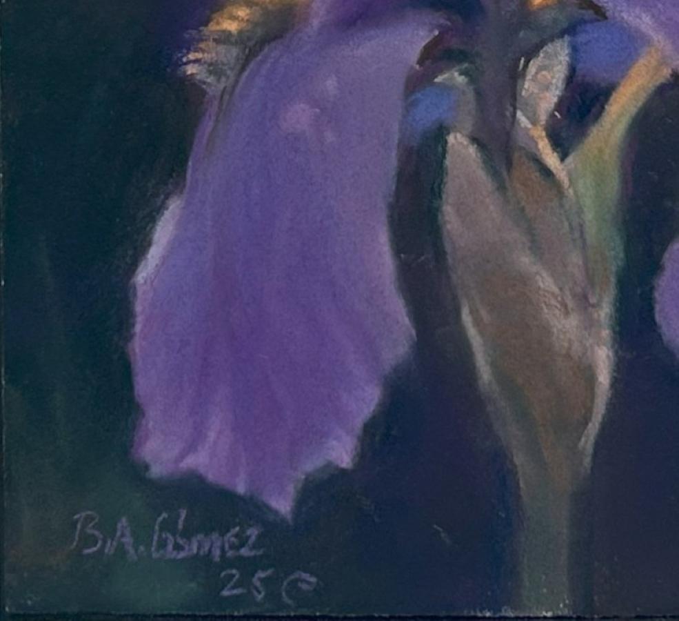 Künstlerisches Statement

Seit neunundzwanzig Jahren arbeite ich hauptberuflich mit Pastell und seit fünfzehn Jahren gebe ich Workshops. Meine künstlerischen Einflüsse reichen von der paläolithischen Kunst bis zu Alfred Sisley, Maxfield Parrish,