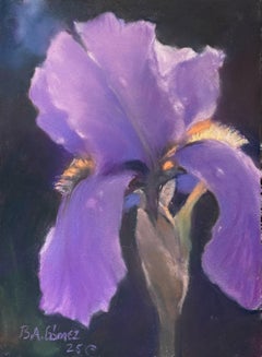 Mai-Schwertlilie (2025), Realistische violette Schwertlilie, Nahaufnahme Blumenstillleben Pastellmalerei