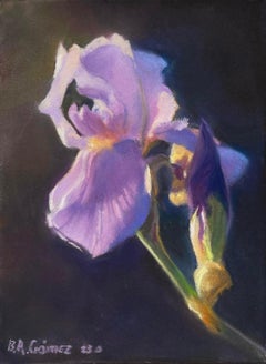 "Studio sull'iris del Vaticano" (2023) di Bruce A. Gomez, Natura morta originale a pastello