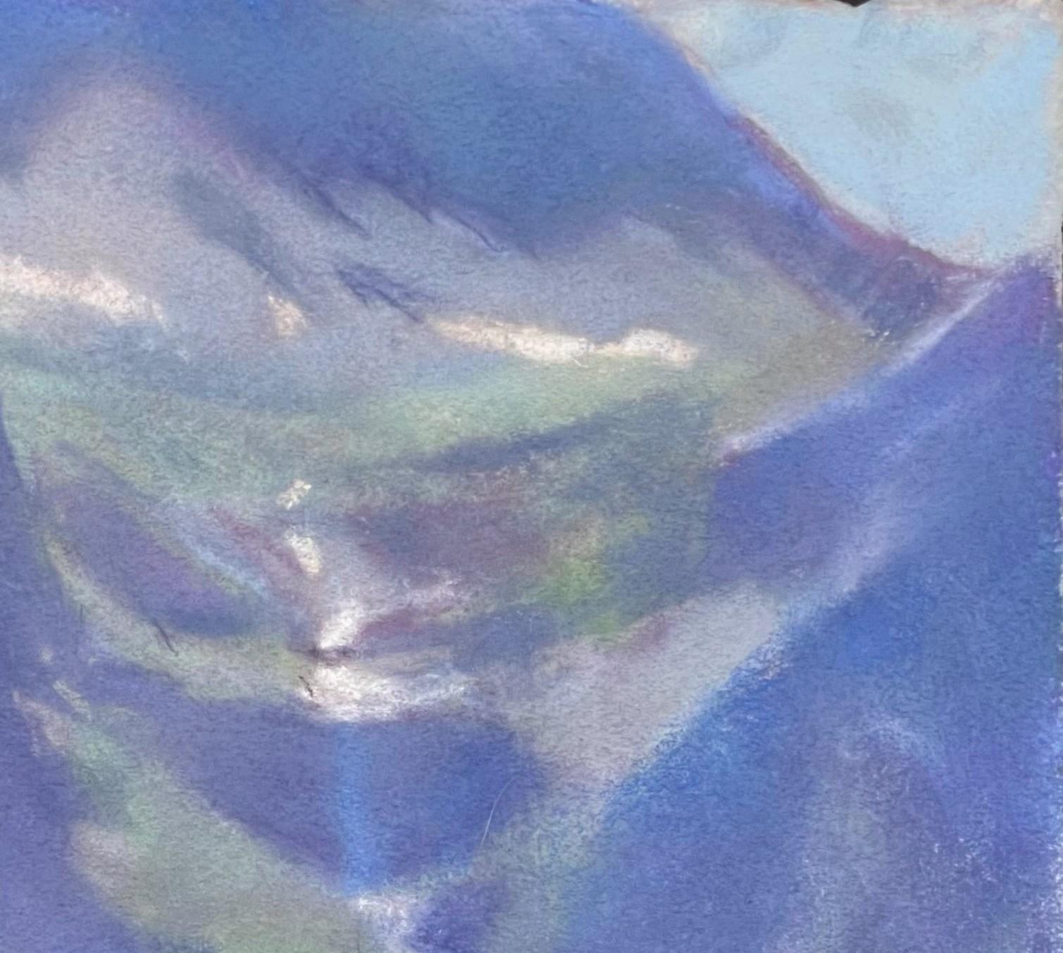 Declaración del artista

Llevo veintinueve años trabajando al pastel a tiempo completo y quince impartiendo talleres. Mis influencias artísticas van desde el arte paleolítico hasta Alfred Sisley, Maxfield Parrish, Juan Gris y Gustav Klimt. Tengo la