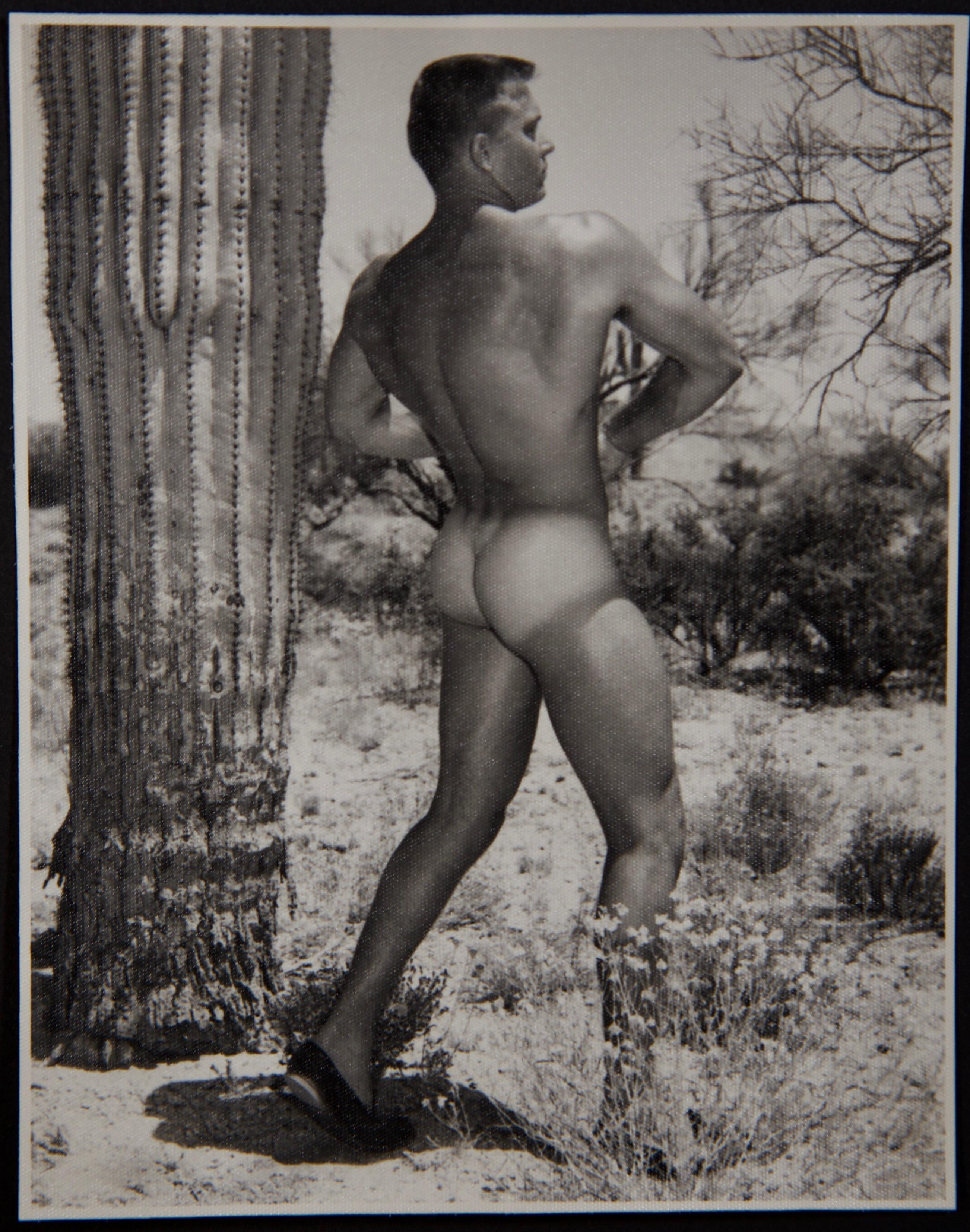 Nude Photograph Bruce Bellas / Bruce of Los Angeles - Photos de physique masculin des années 1950 de Bruce Bellas - Ed Lincoln et Jim Drinkward