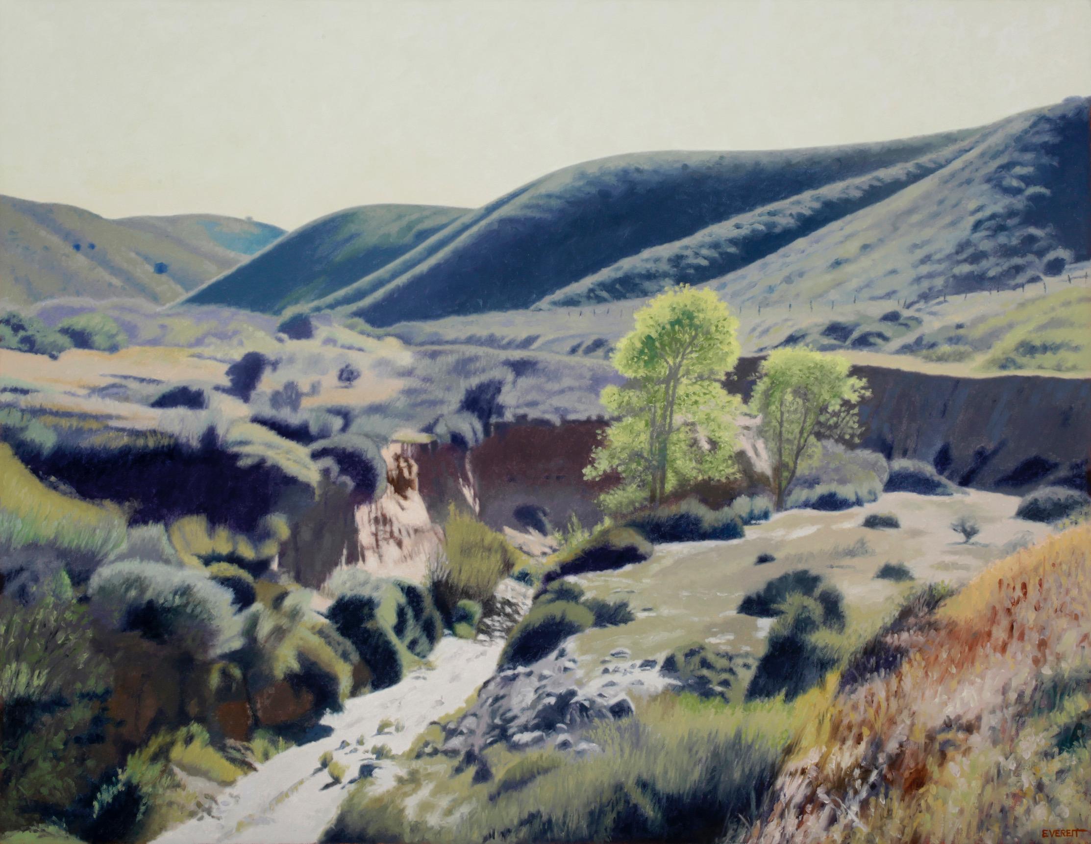 Bruce Everett Landscape Painting - Gillis Canyon