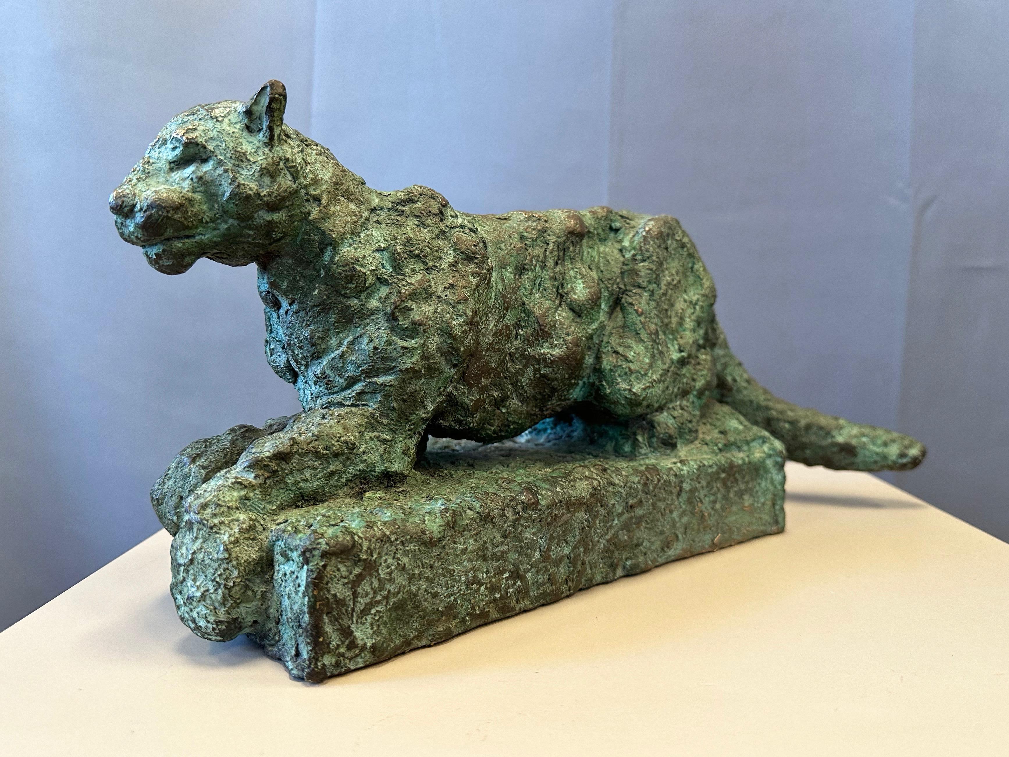 A very handsome and engaging circa early 2000s signed and numbered Brutalist cast bronze sculpture of a puma by world renowned San Francisco Bay Area sculptor and painter Bruce Hasson (b. 1954).

The big cat—deemed a puma based on its similarity to