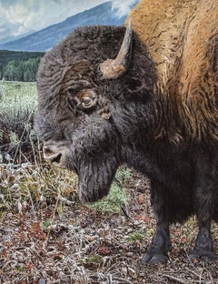 An Unpredictable Calm