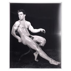Bruce of LA Aka Bruce Bellas, Liegesessel-Modell