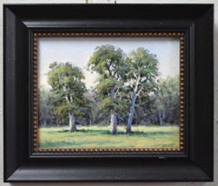 "THE THREE TREES" TEXAS HILLCOUNTRY