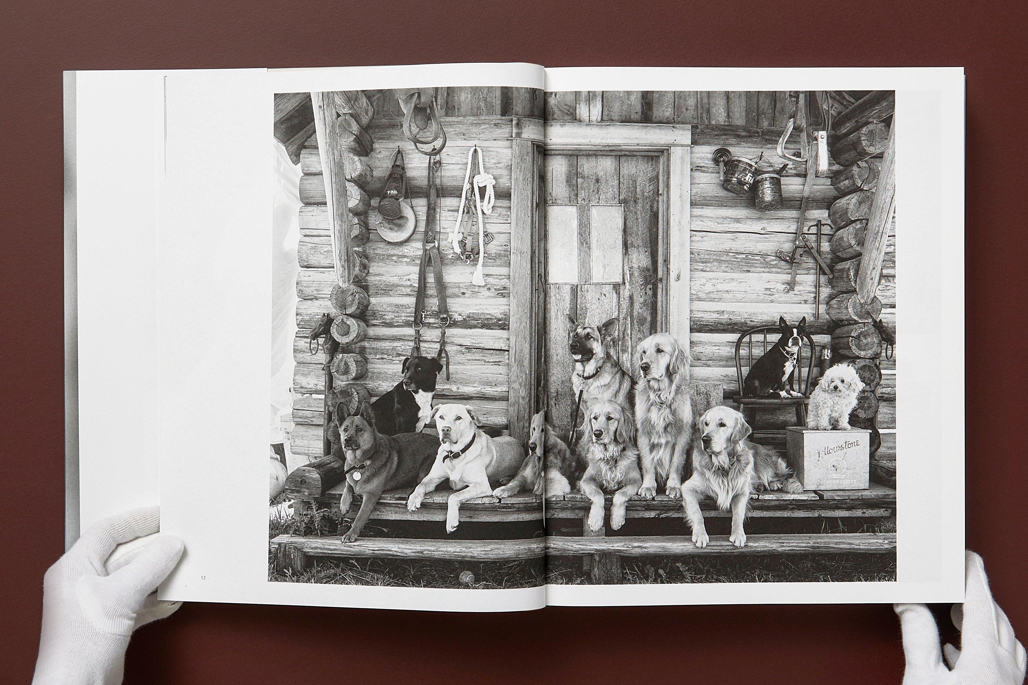The Golden Retriever Photographic Society 'Hud, NYC 2011' Archivalischer Pigmentdruck im Angebot 6