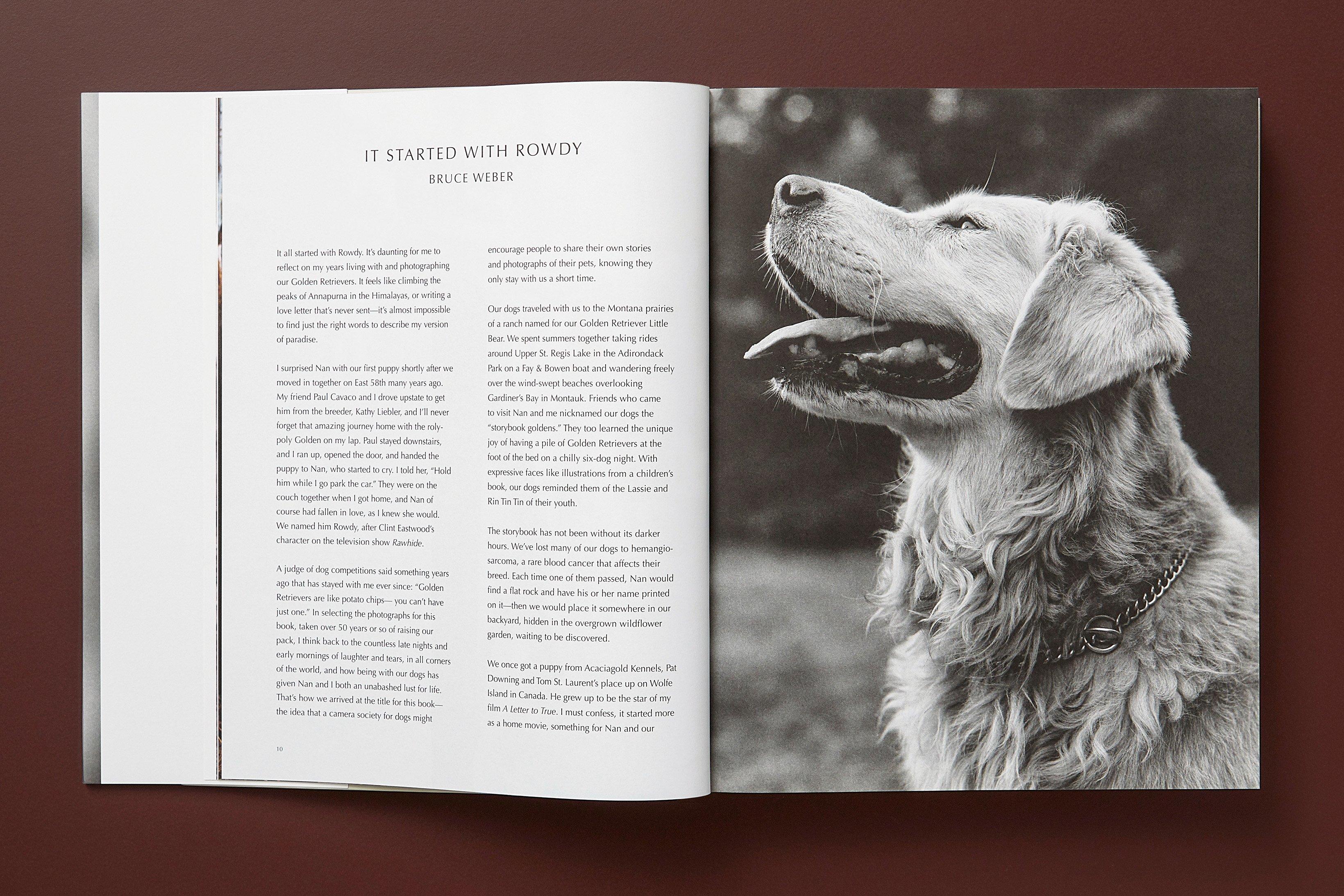 The Golden Retriever Photographic Society 'Hud, NYC 2011' Archivalischer Pigmentdruck im Angebot 7