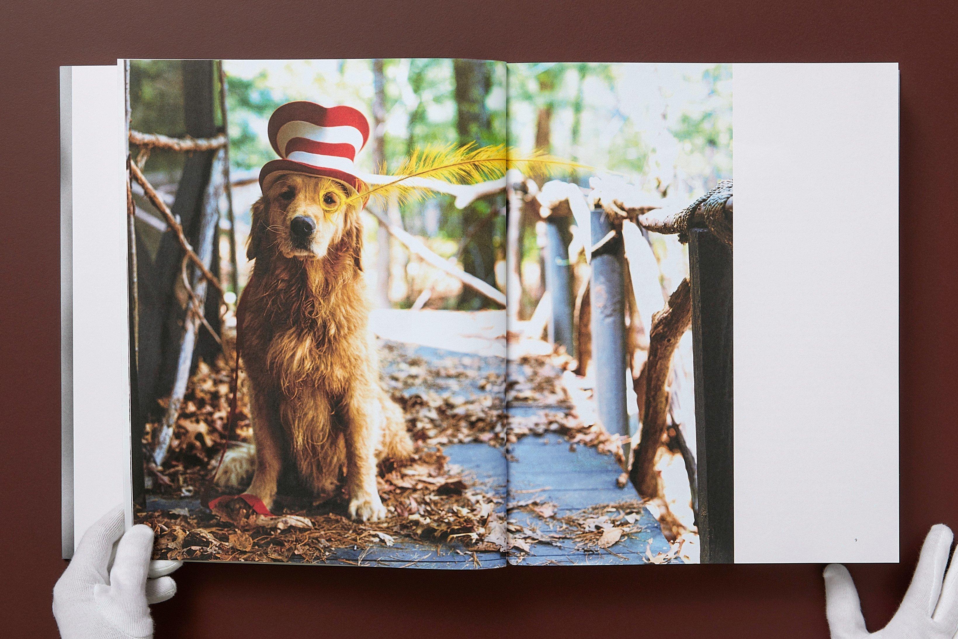 The Golden Retriever Photographic Society 'Hud, NYC 2011' Archivalischer Pigmentdruck im Angebot 8