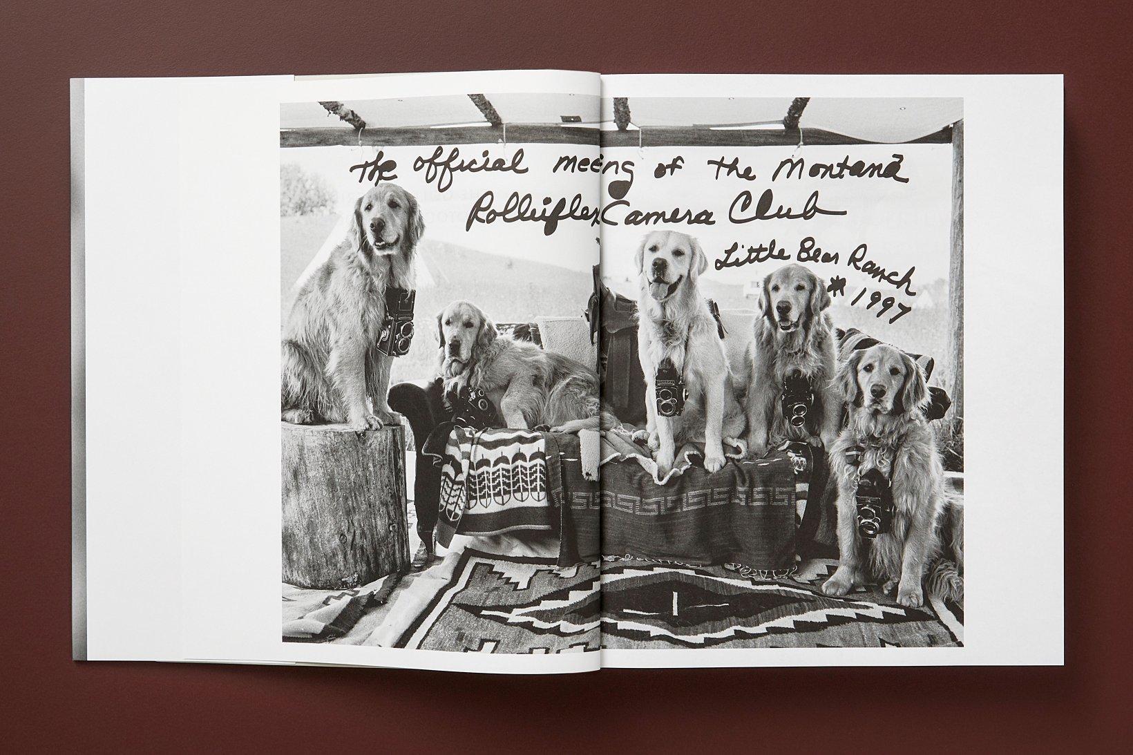 The Golden Retriever Photographic Society 'Hud, NYC 2011' Archivalischer Pigmentdruck im Angebot 9