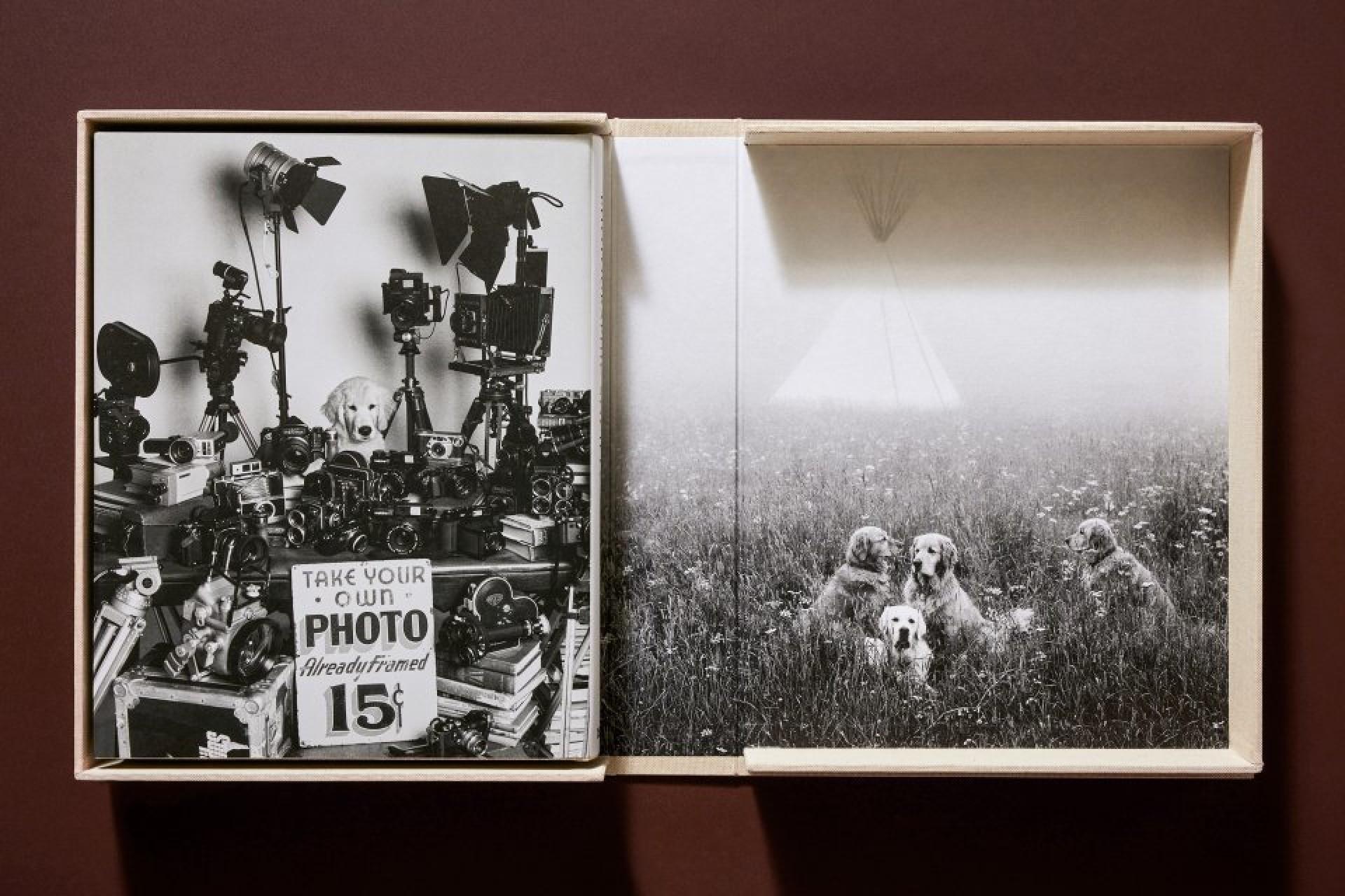 The Golden Retriever Photographic Society 'Hud, NYC 2011' Archivalischer Pigmentdruck (Grau), Animal Print, von Bruce Weber