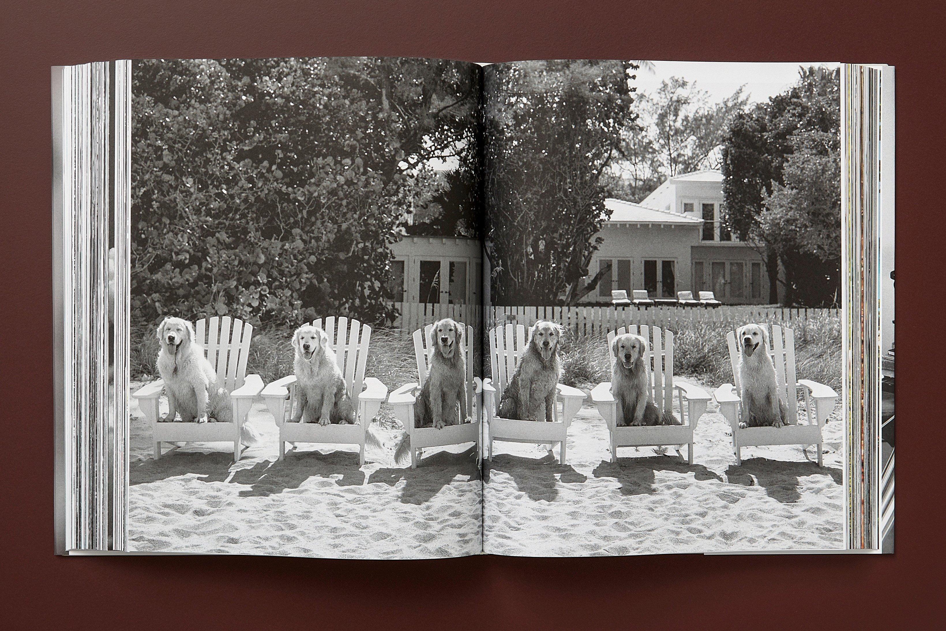 The Golden Retriever Photographic Society 'Hud, NYC 2011' Archivalischer Pigmentdruck im Angebot 1