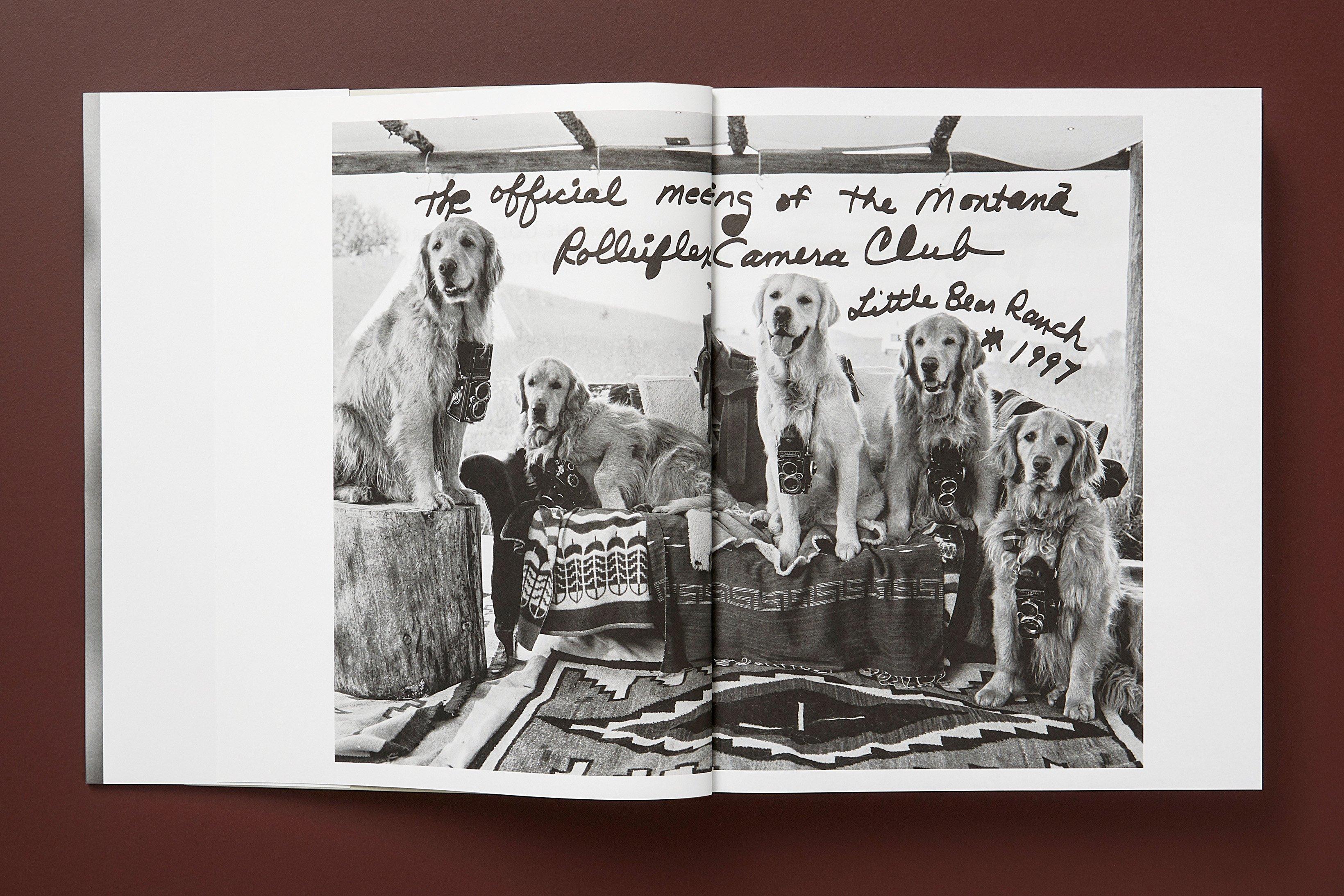 The Golden Retriever Photographic Society 'Hud, NYC 2011' Archivalischer Pigmentdruck im Angebot 3
