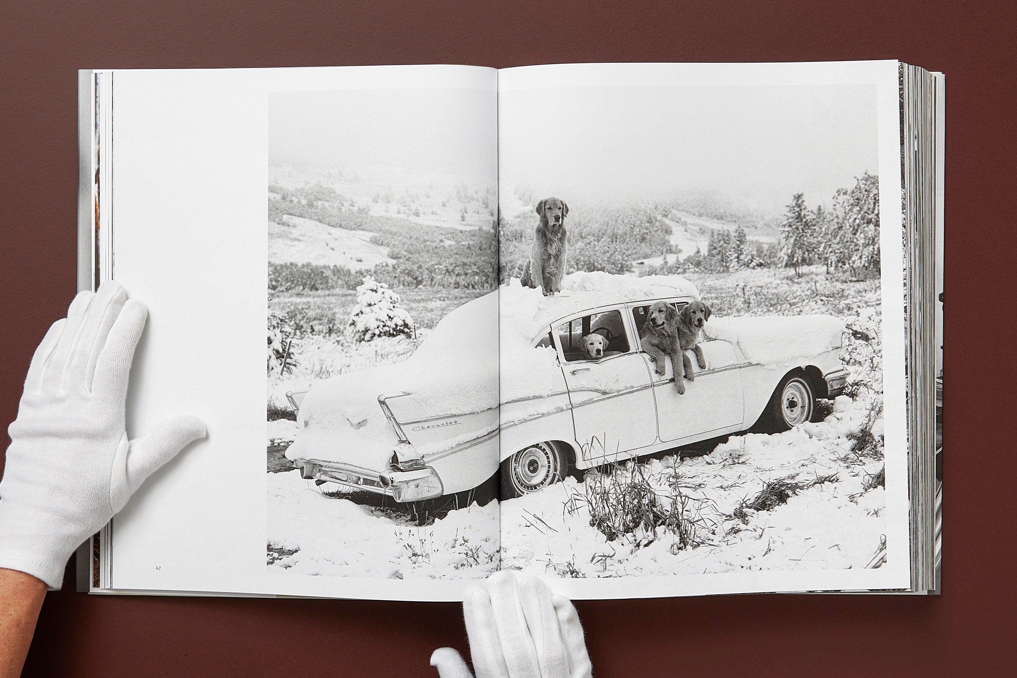 The Golden Retriever Photographic Society 'Hud, NYC 2011' Archivalischer Pigmentdruck im Angebot 5