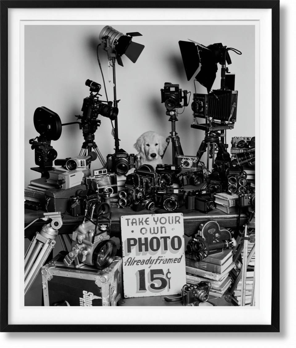 The Golden Retriever Photographic Society 'Hud, NYC 2011' Archivalischer Pigmentdruck
