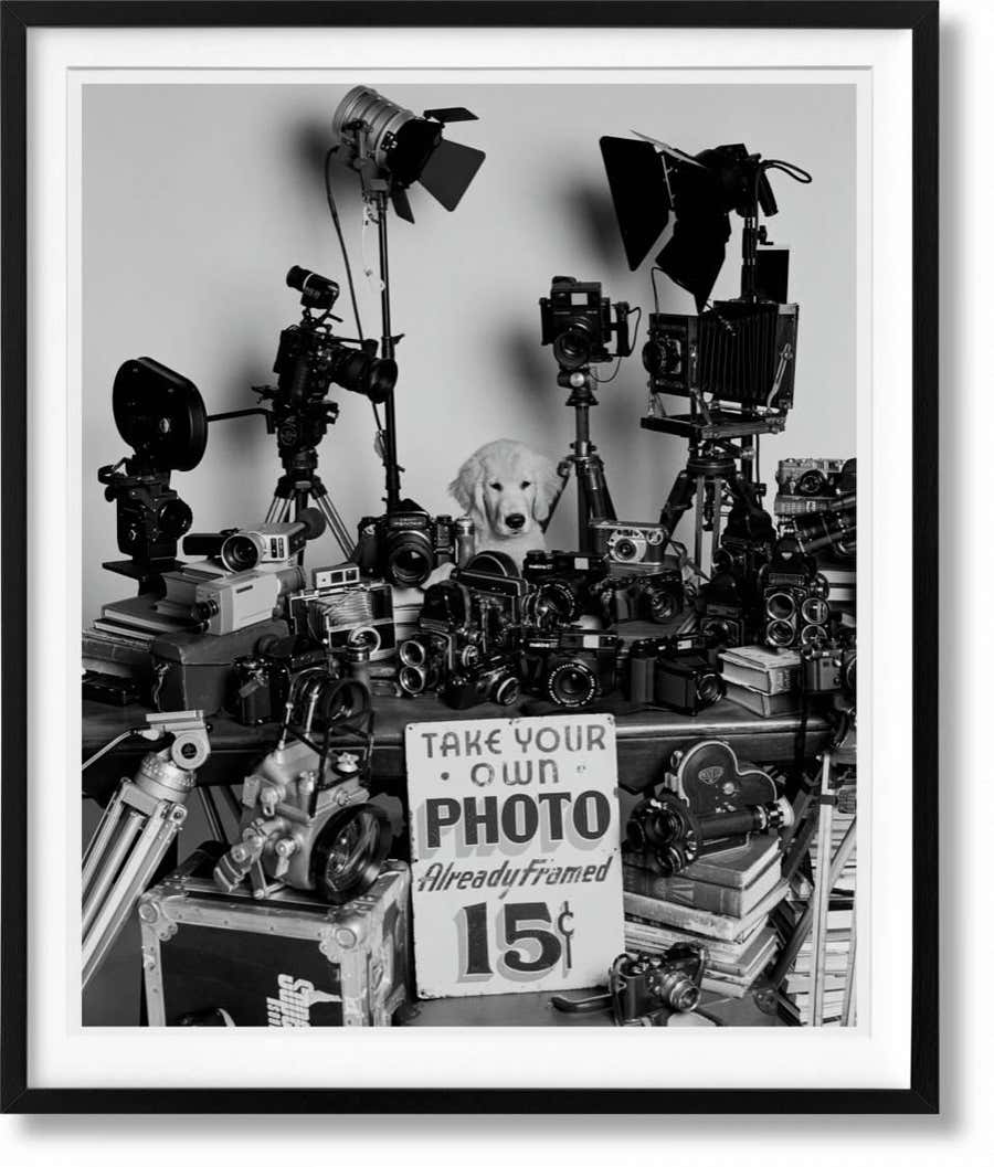 The Golden Retriever Photographic Society ‘Hud, NYC 2011’ Archival pigment print