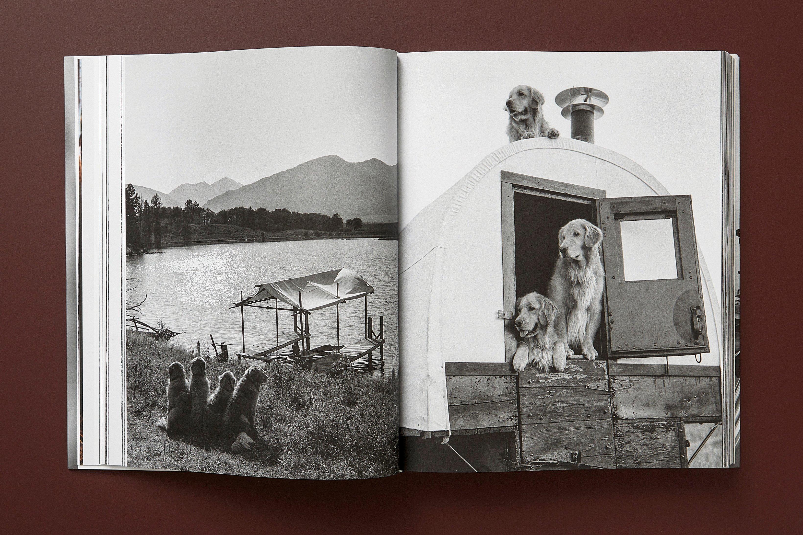 The Golden Retriever Photographic Society. ‘Little Bear Ranch, Montana, 1996’ For Sale 4