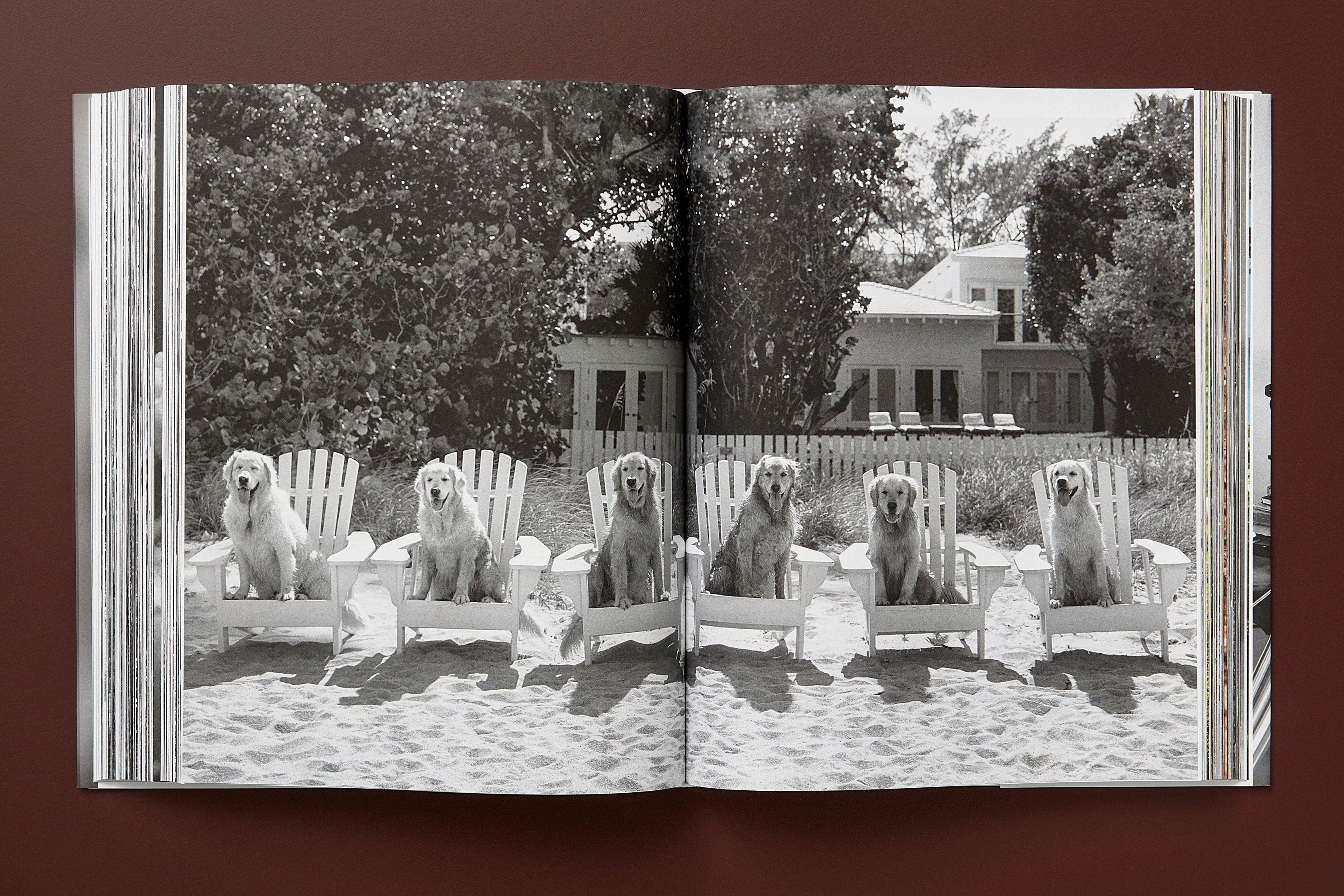 The Golden Retriever Photographic Society. ‘Little Bear Ranch, Montana, 1996’ For Sale 2