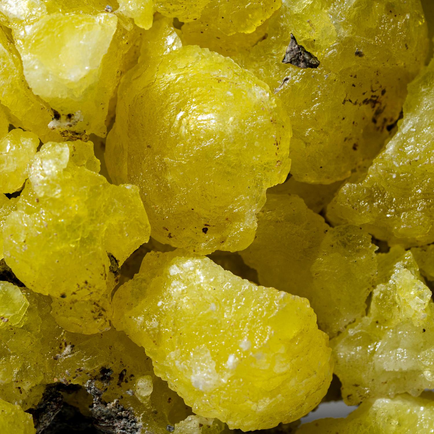 From Qilla (Killa) Saifullah Chrome Mines, northwestern Baluchistan, Pakistan

Lustrous hemispherical cluster of transparent-to-translucent lemon-yellow brucite crystal on matrix.

Weight: 2.3 lbs, Size: 7 x 2 x 6 inches.