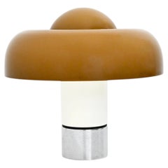Brumbury  Lamp by Luigi Massoni for Harvey Guzzini, 1970s
