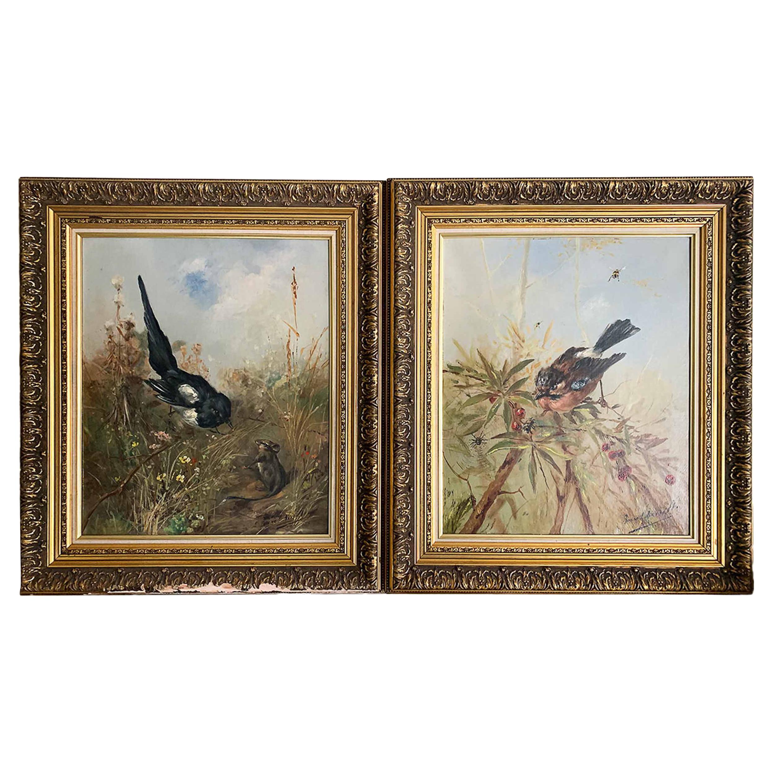 Brunel De Neuville Pair of Paintings "The Jay " & "The Chattering Magpie" For Sale