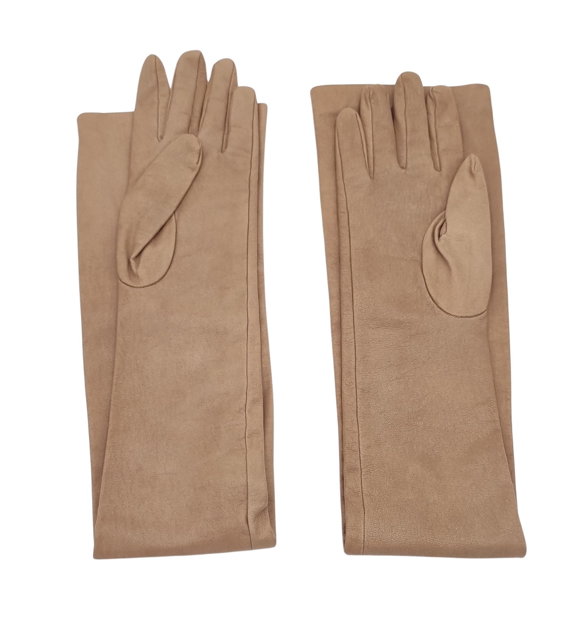 Brunello Cucinelli extra long gloves 
Light brown leather
Internal elastic at the base

Marked size M
Total length 69 cm - 27 in

Excellent condition, never used
Small stain on one finger