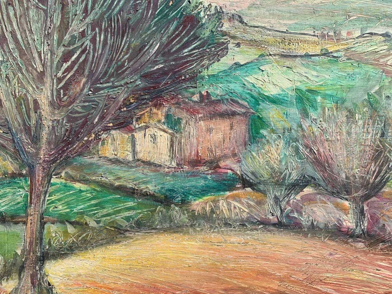 Paysage toscan près de Sienne avec un arbre au bord de la terre et des Rolling Hills, 1970 en vente 1
