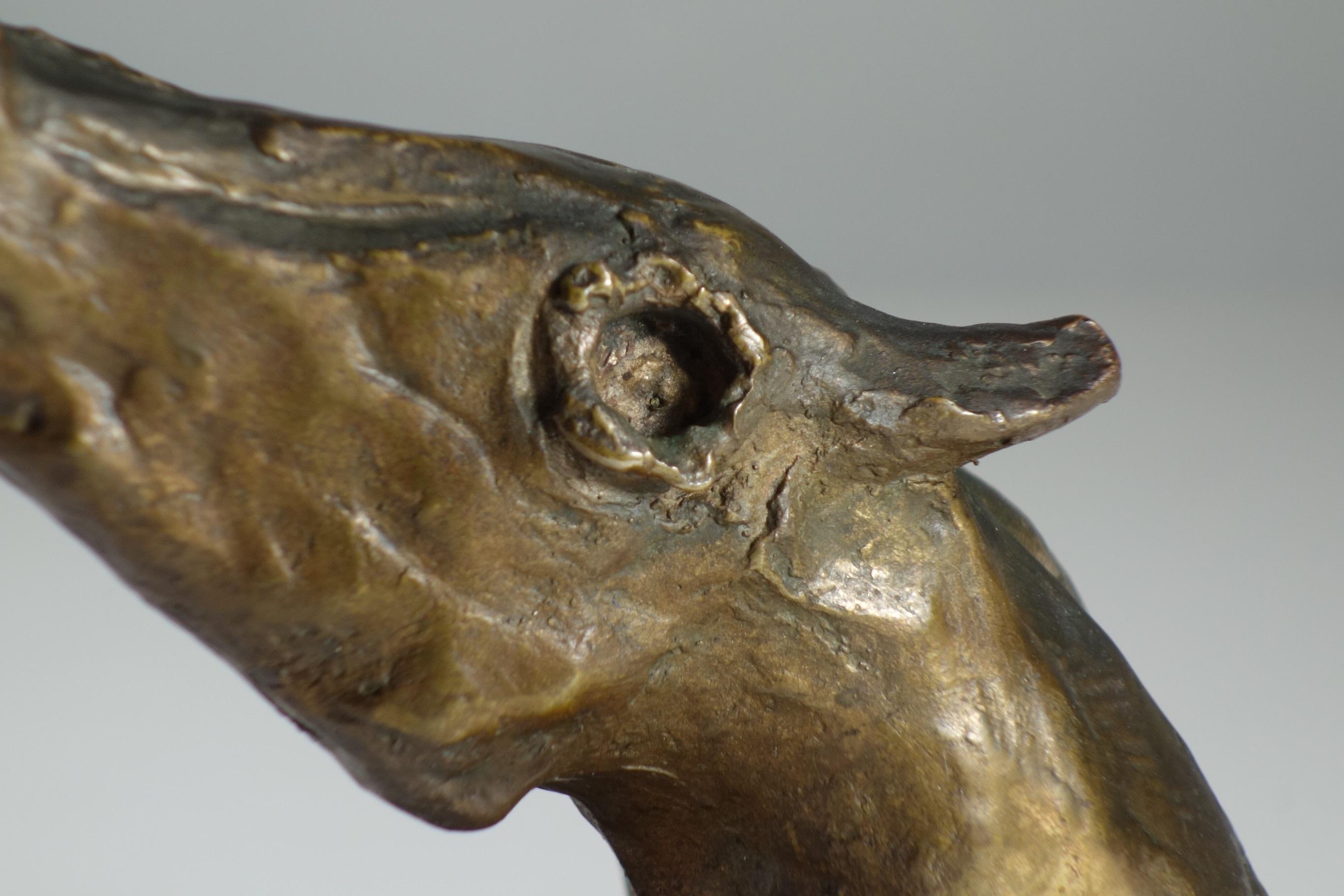Bronzo Bruno Cassinari Scultura di cavallo in bronzo 13/28 in vendita