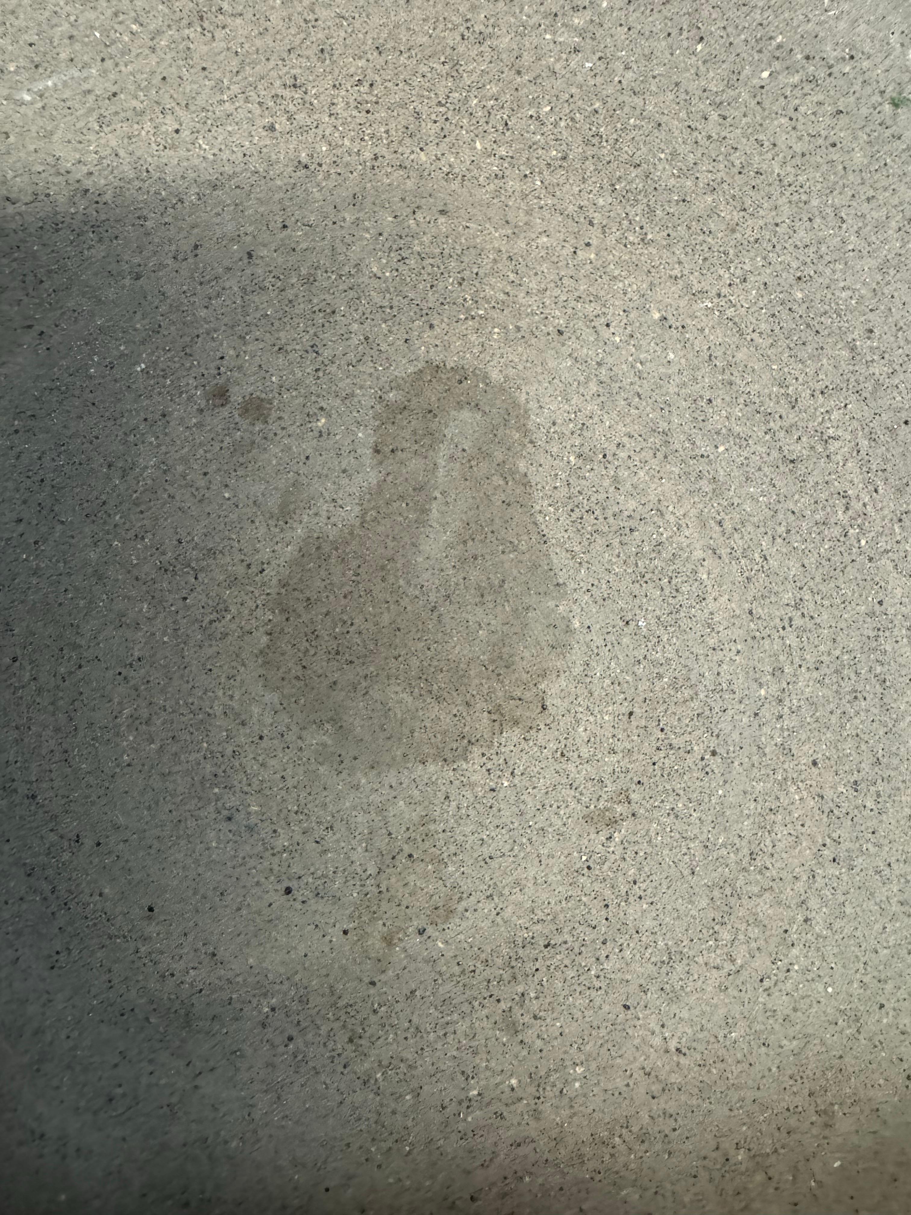 Fine XX secolo Ciotola decorativa Bruno Gambone in vendita