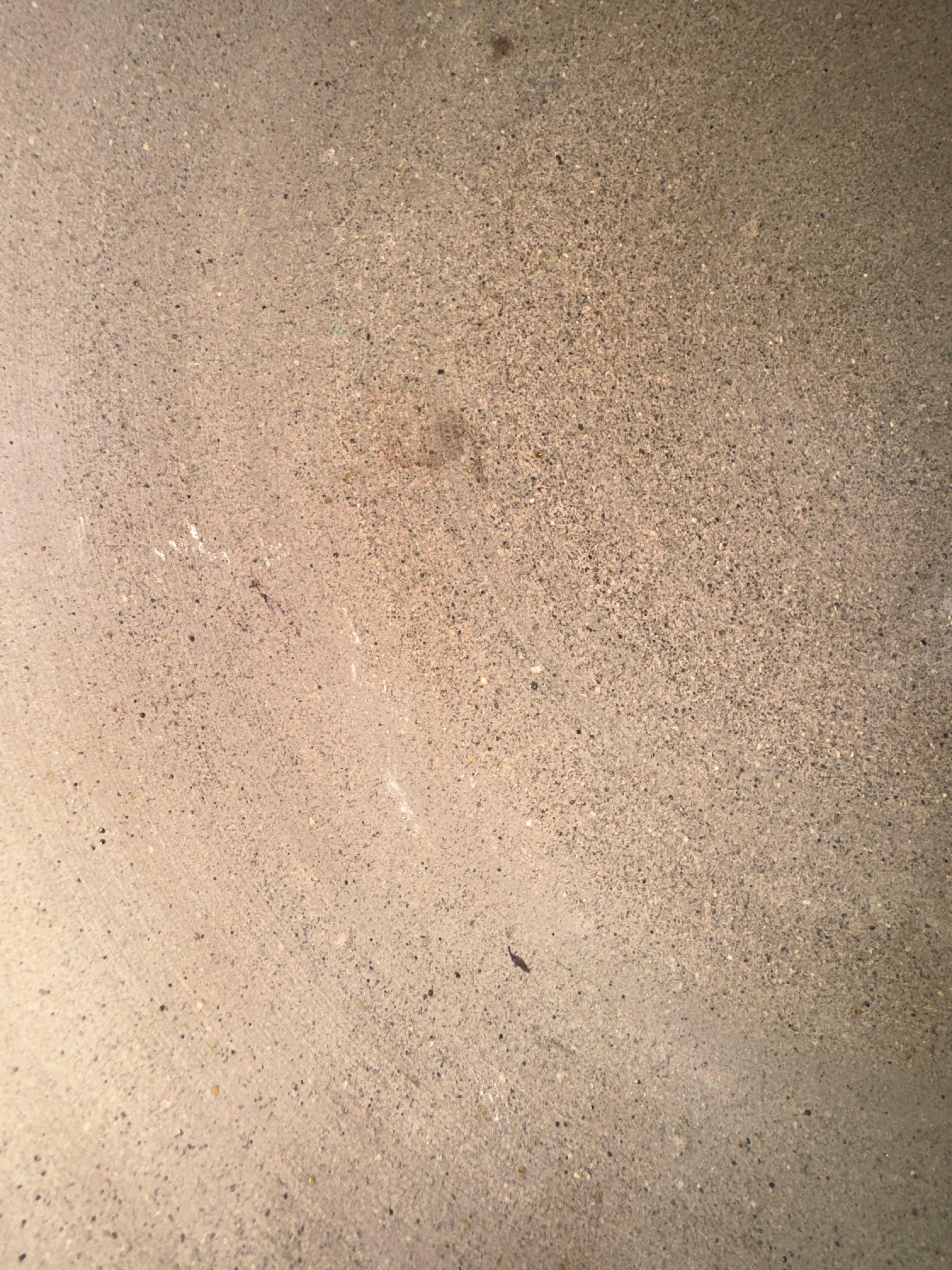 Bruno Gambone Dekorative Schale im Angebot 1