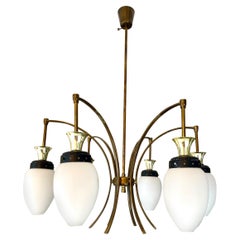 Bruno Gatta by Stilnovo Chandelier brass with 6 opaline glass , Italy 1960