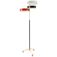 Bruno Gatta Floor Lamp, Italy, 1950s