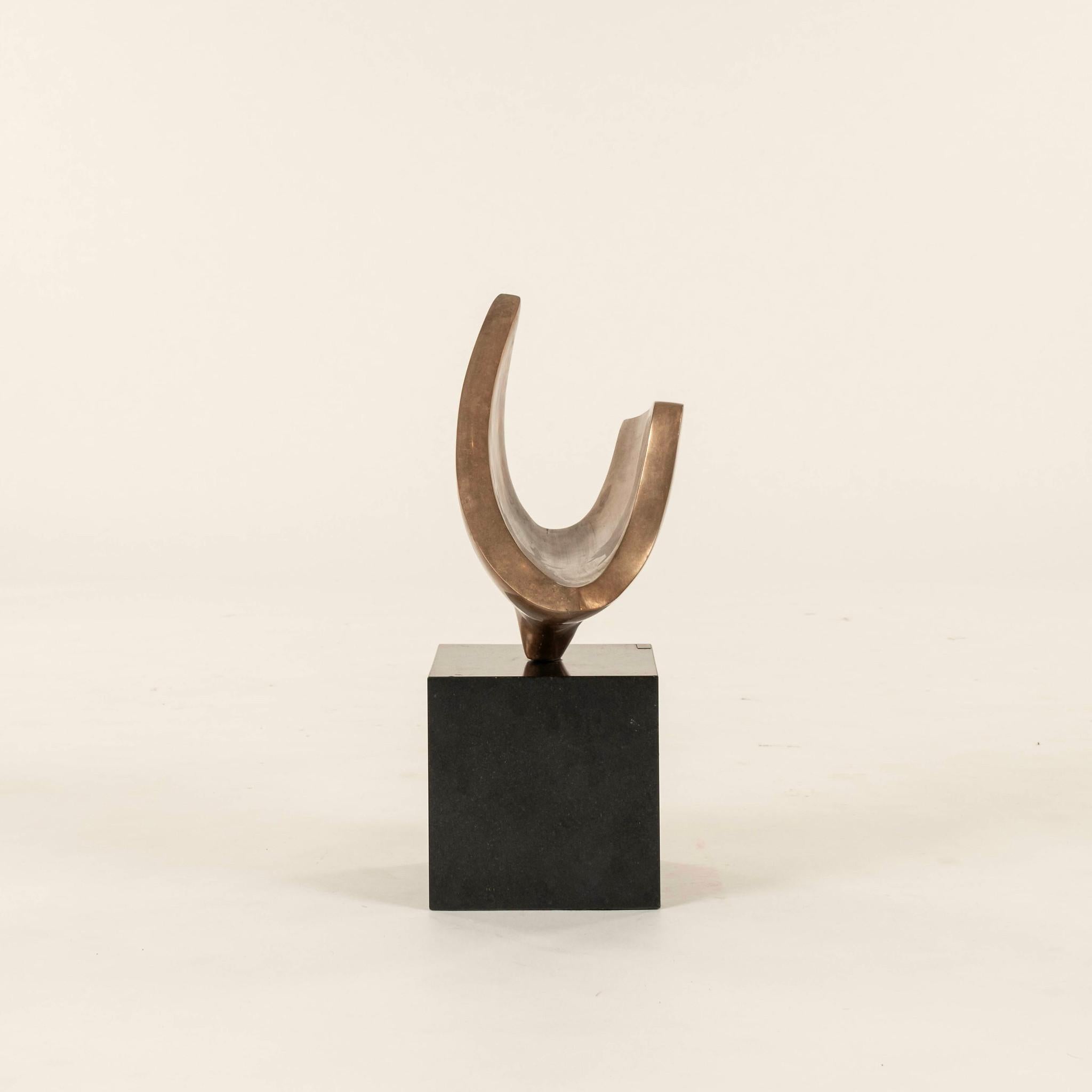 Organic Modern Bruno Giorgi Bronze Sculpture For Sale