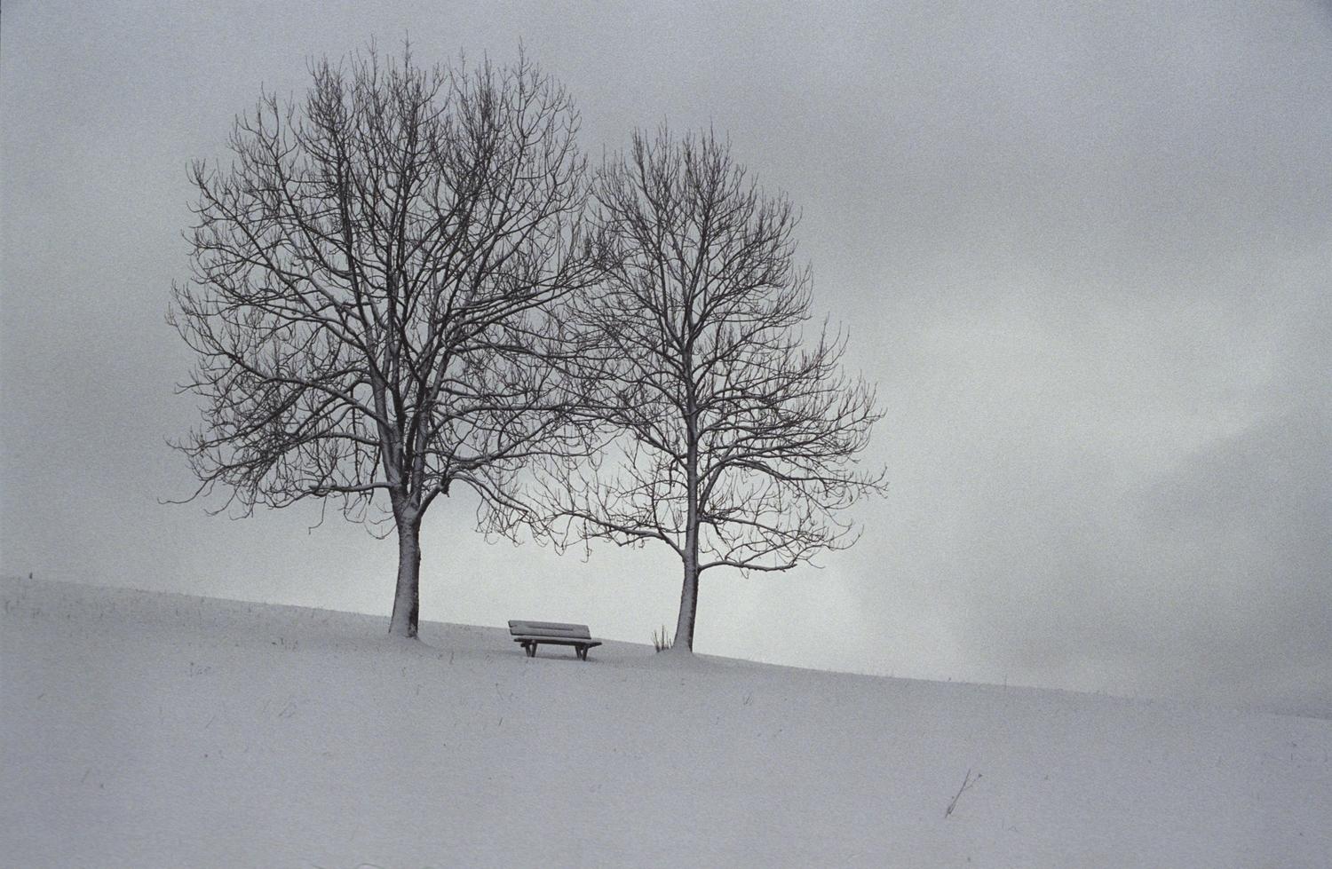 Landscape Photograph di Bruno Meignien - Les Amoureux 7/10