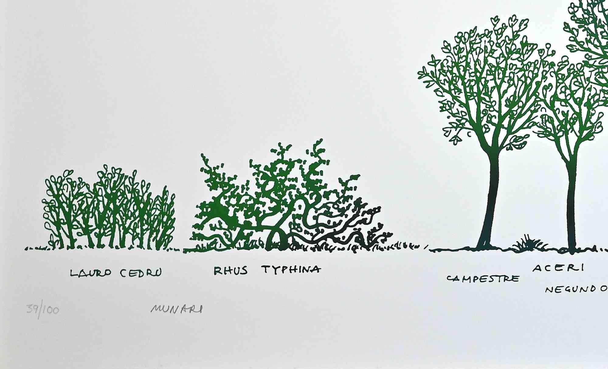 A Way of Different Trees de Bruno Munari, années 1980 en vente 1