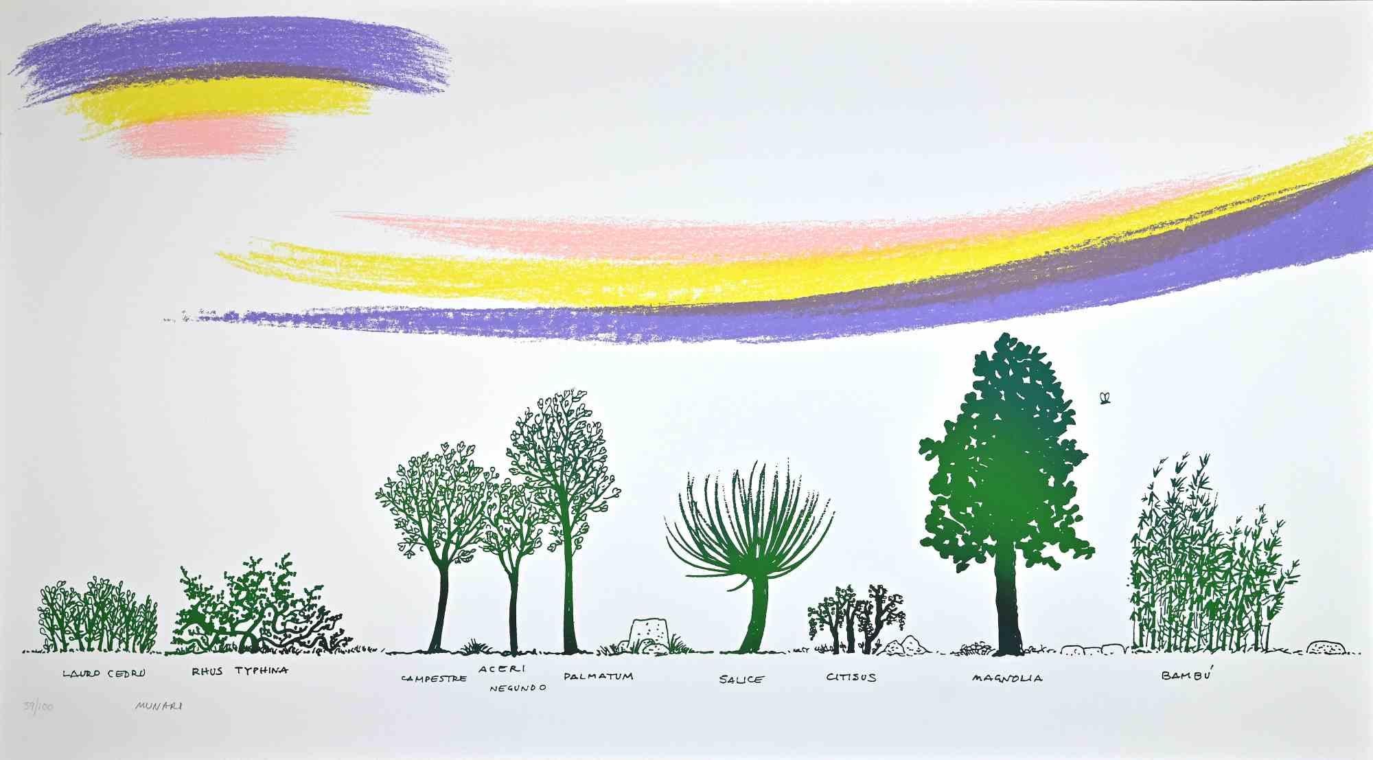A Way of Different Trees est une sérigraphie réalisée par Bruno Munari dans les années 1980.

Signé à la main en bas, numéroté en bas à gauche, édition de 100 tirages.

Très bon état sur carton blanc.

L'œuvre d'art représente des sortes d'arbres