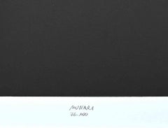 Negativ- Positive – Paraventdruck von Bruno Munari – 1991