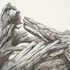 "Spirito infranto", carboncino su carta