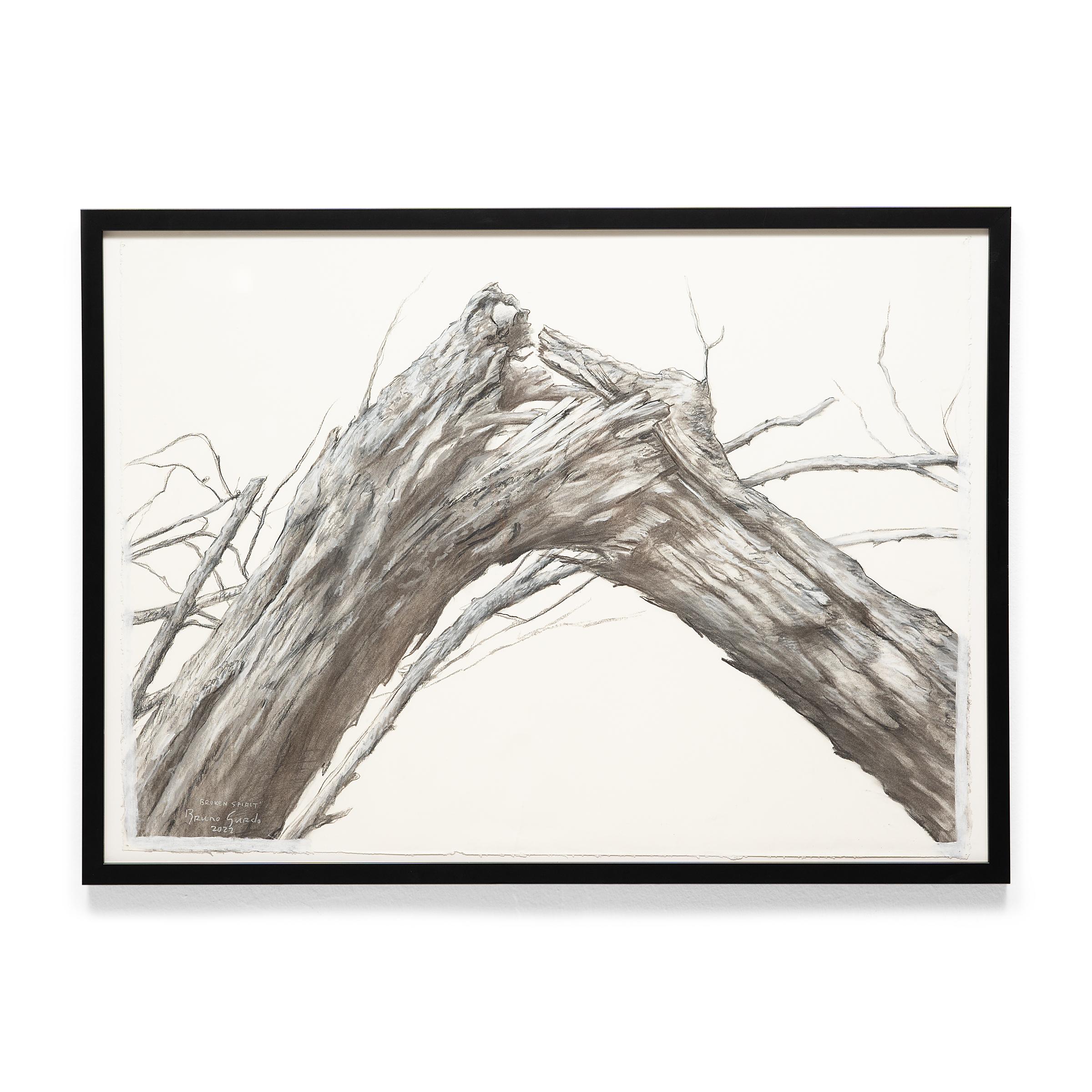 „Broken Spirit“, Kohle auf Papier im Angebot 1
