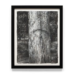 "Fede", carboncino su carta, 2023