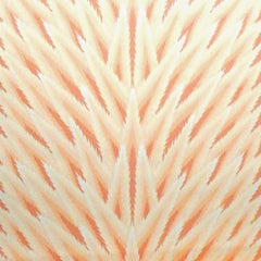 Brunschwig & Fils x Musée des Arts Décoratifs, Paris, Cristaux Wallpaper, 1983