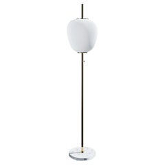 Stehlampe J14 aus gebürstetem Messing von Disderot