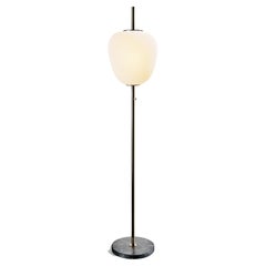 Lampadaire J14 en laiton brossé de Disderot