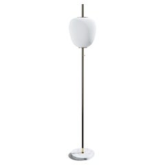 Brushed Brass Tall J14 Floor Lamp by Disderot