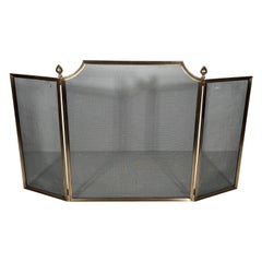 Brushed Steel, Brass and Grilling Fireplace Screen in the style of Maison Jansen