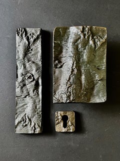 Juego Brutalista de Muebles de Puerta de Bronce con Diseño de Corteza de Árbol