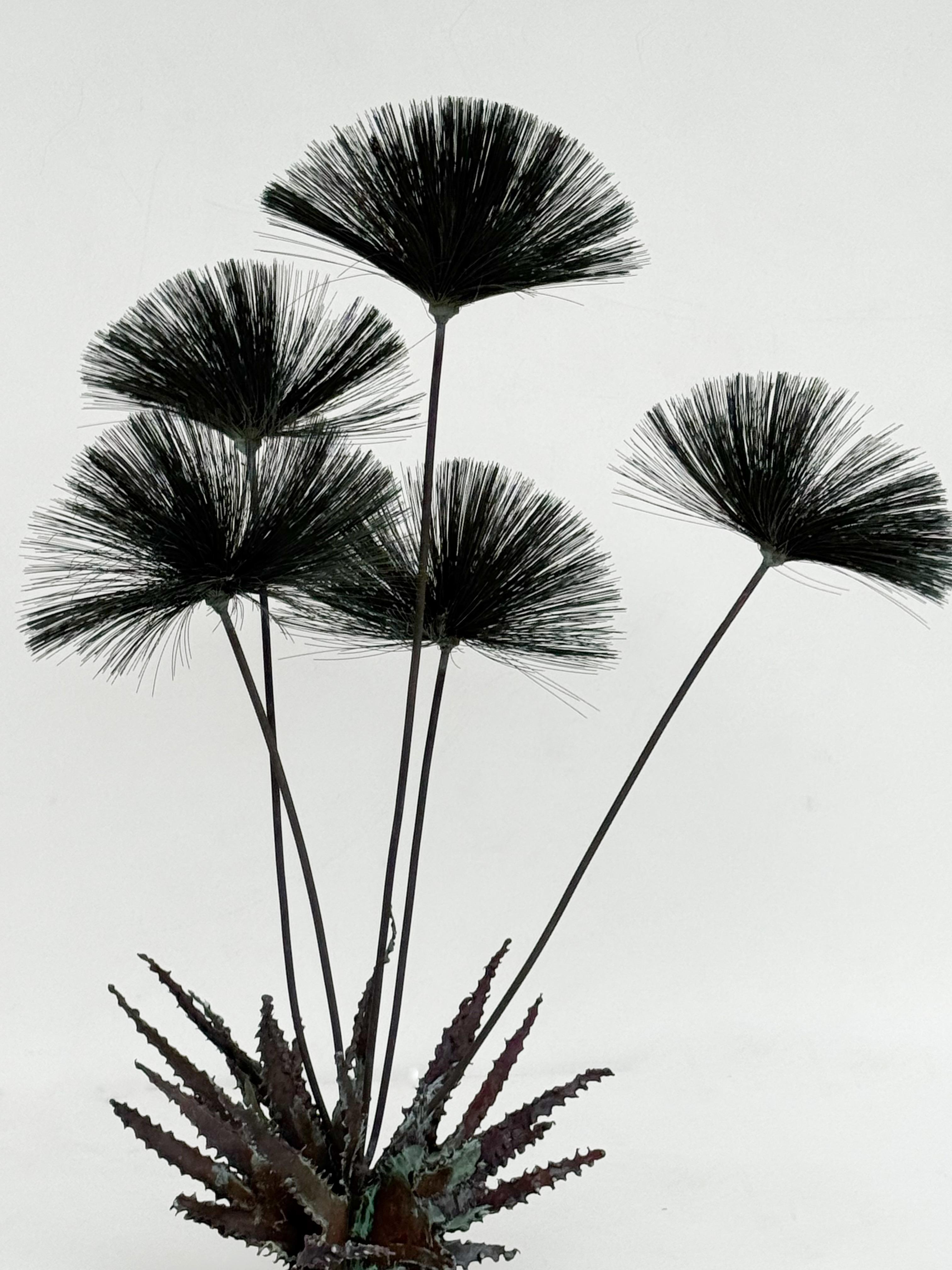 Brutalist copper dandelion sculpture from the 1960’s by John Steck. 

Part of “Desert Flowers” series, constructed of torch cut copper with a beautiful patina on a natural stone base. 

Measurements:
29” High, 22” Wide, 16” Deep.
Stone base is 9”