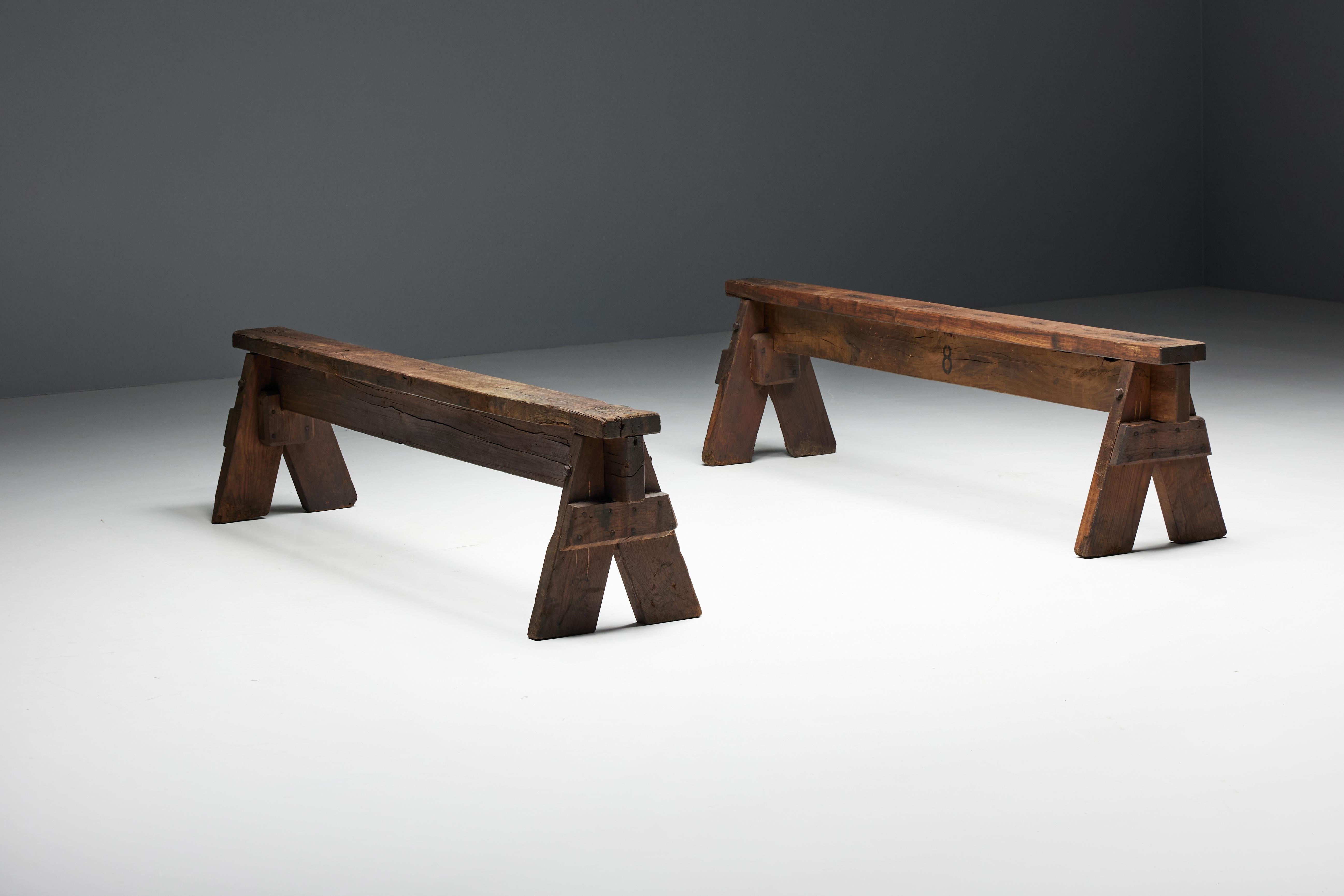 Bancs d'art populaire brutaliste, France, 19ème siècle en vente 1