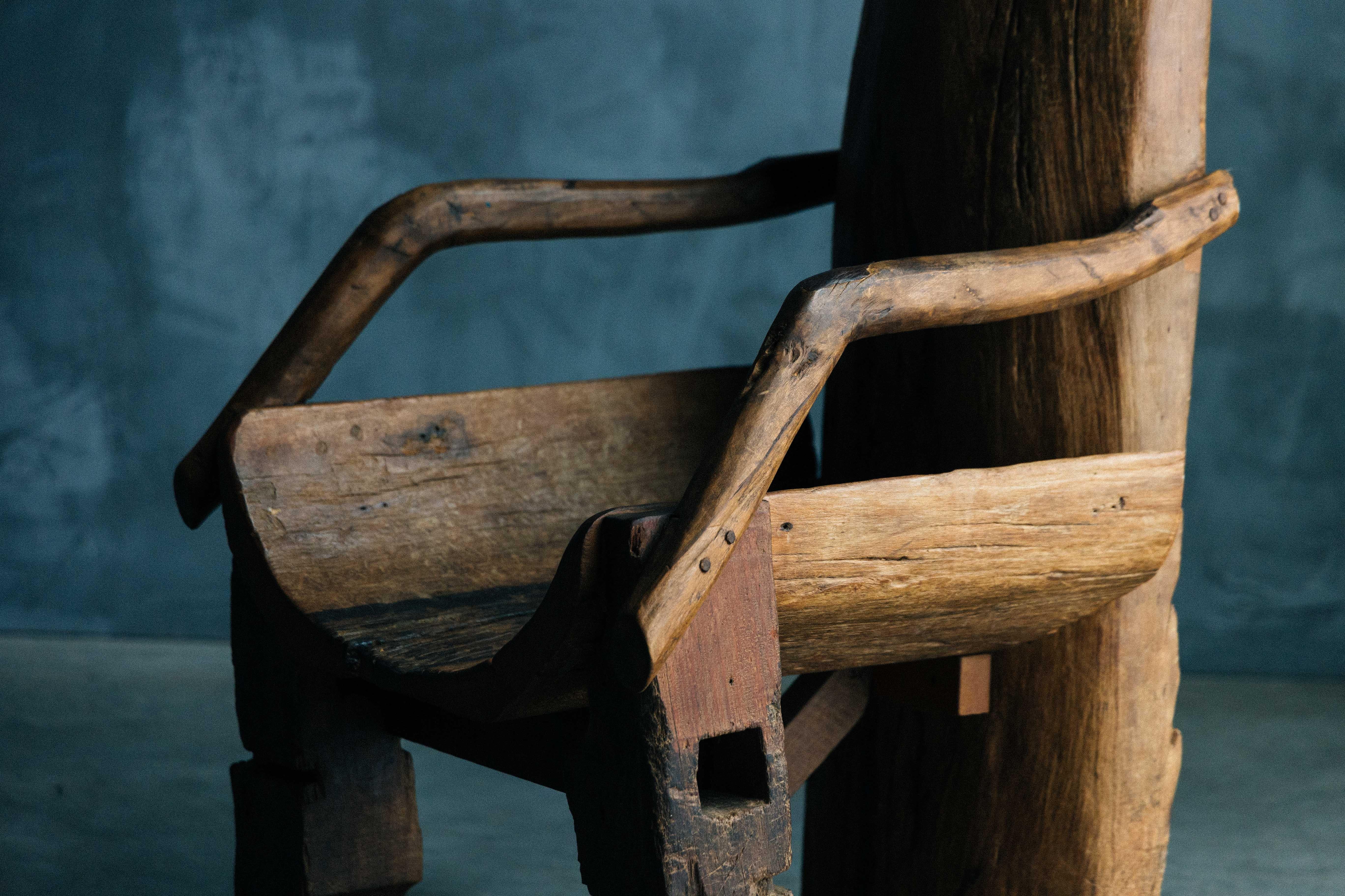 Silla de Trono Monoxilita Brutalista, Francia, Siglo XIX en venta 8